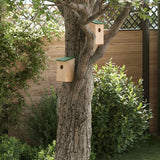 Vogelhuisjes 12X12X22 Cm Massief Vurenhout