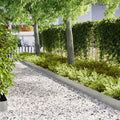 Tuinrand 30 Pcs 100 X 0,05 X 30 Cm Weervast Staal Roestig