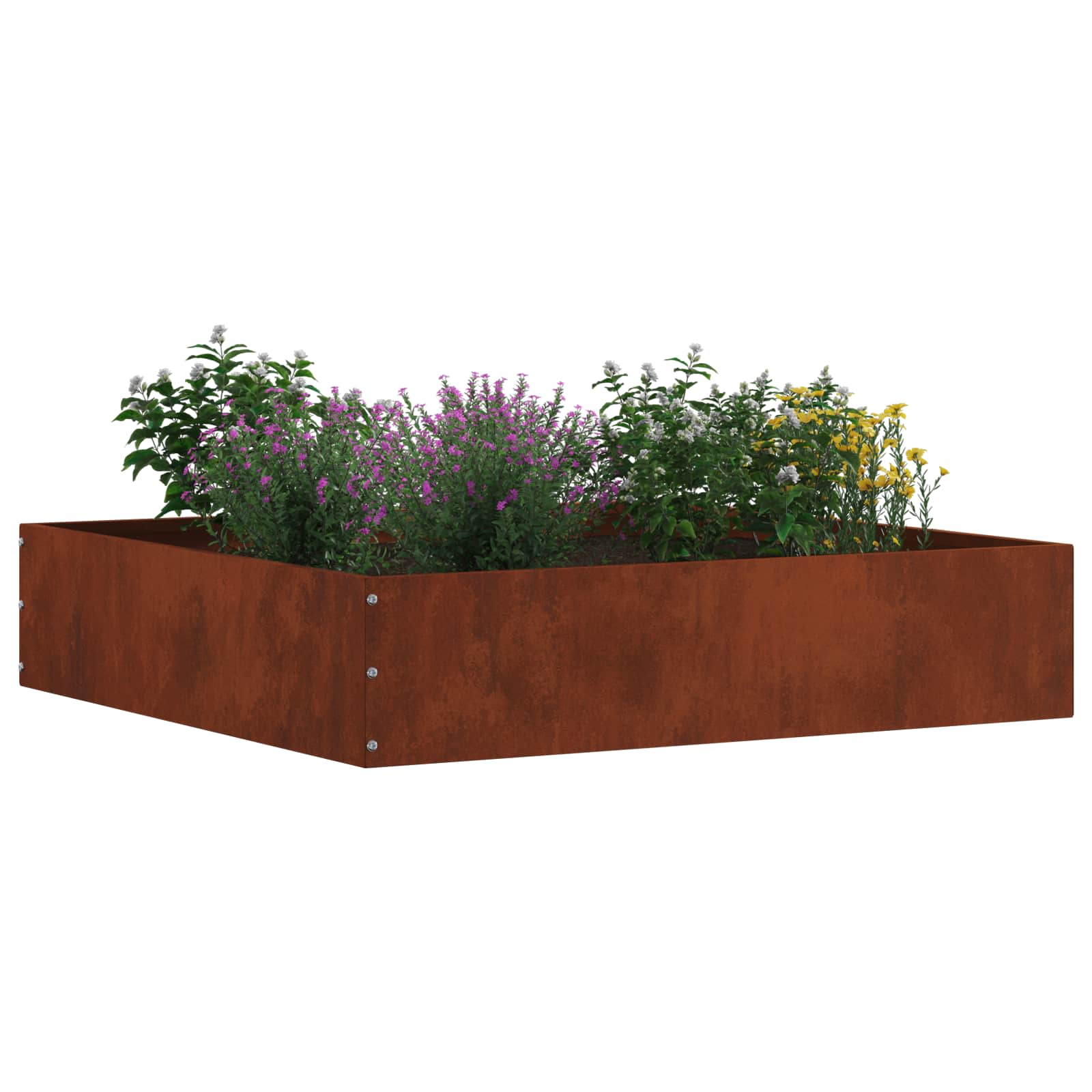 Tuinrand Roestig