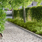 Tuinrand 20 Pcs 103 X Metaal Roestig