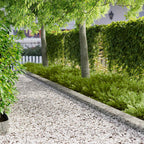 Tuinrand 20 Pcs 103 X Metaal Roestig