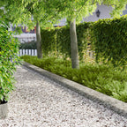 Tuinrand 20 Pcs 103 X Metaal Roestig