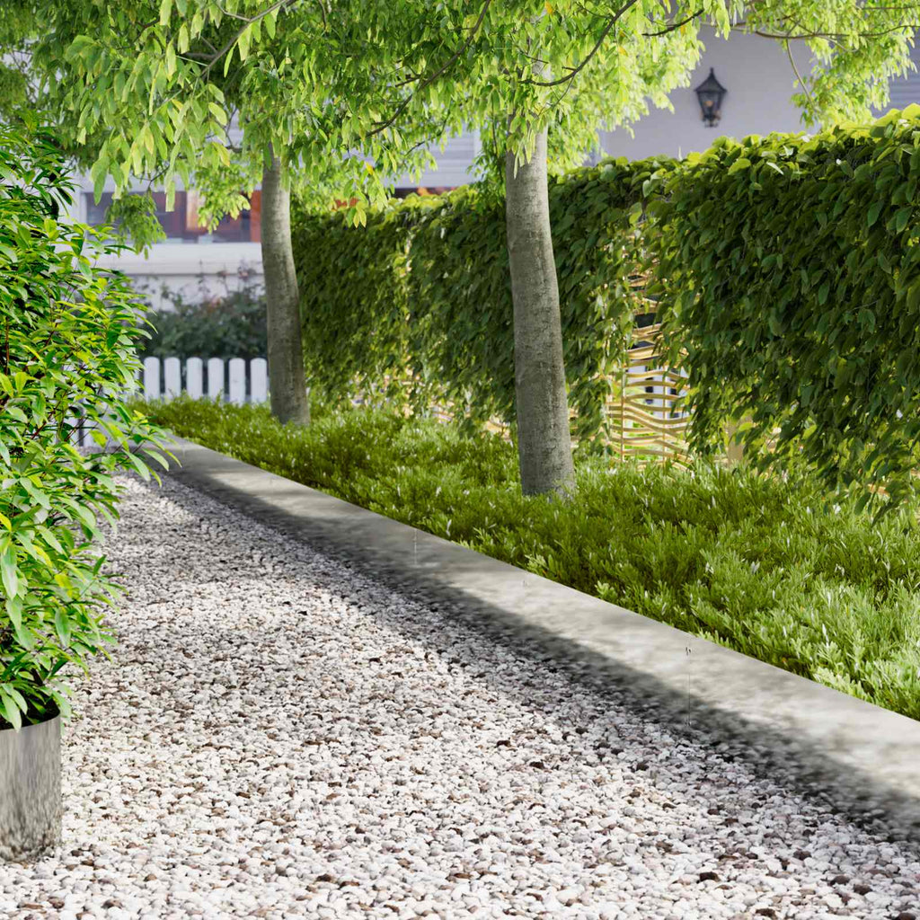 Tuinrand 20 Pcs 103 X Metaal Roestig