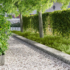 Tuinrand 20 Pcs 103 X Metaal Roestig